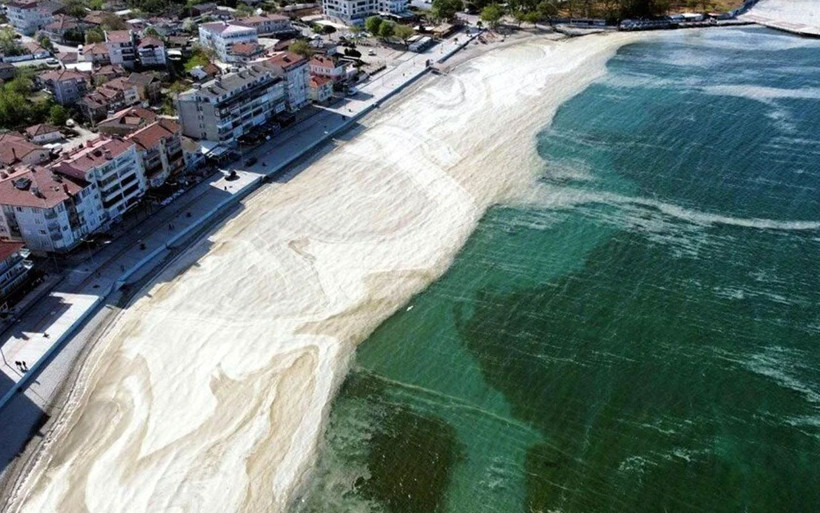 Müsilaj kaybediyor! 'En önemli bulgu'yu paylaştı: 1 aylık incelemede sevindiren sonuçlar - Resim: 1