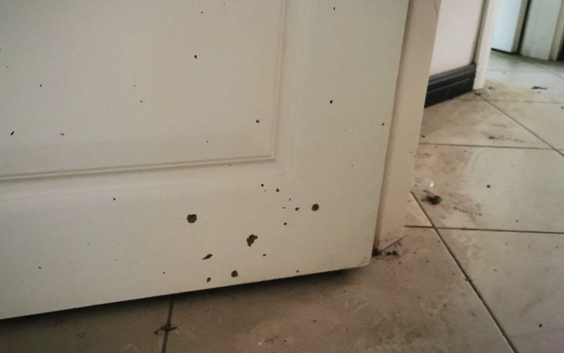 15 Temmuz'da Erdoğan'ın kaldığı oteldeki izler hala duruyor - Resim: 4