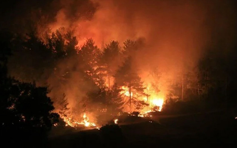 Bodrum'da yeni yangın! Evler ve oteller boşaltılıyor Milas yangını da Bodrum'a sıçradı - Resim: 2