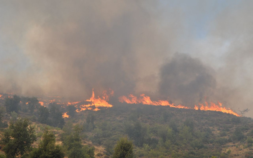 Tarım ve Orman Bakanlığından Kılıçdaroğlu'nun iddialarına cevap - Resim: 1