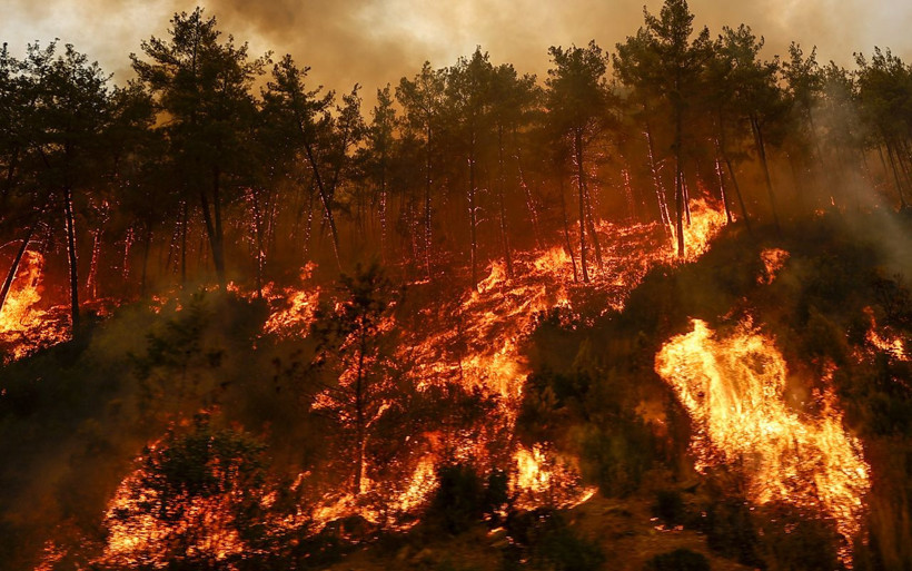 Manavgat yangınında son durum! Bu fotoğraflar yeni geldi dehşet görüntüler - Resim: 2