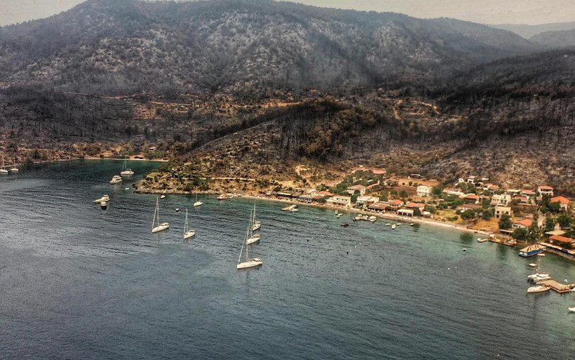 Muğla yangınında Bodrum ve Milas'ın son hali! Küle dönen ormanlar görüntülendi - Resim: 4