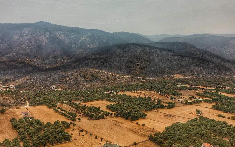 Muğla yangınında Bodrum ve Milas'ın son hali! Küle dönen ormanlar görüntülendi - Resim: 2