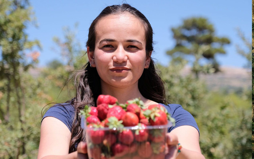 Büşra ve ağabeyi su verilmeyince taşıma yöntemini akıl edip 1.5 ton çilek yetiştirdi - Resim: 2