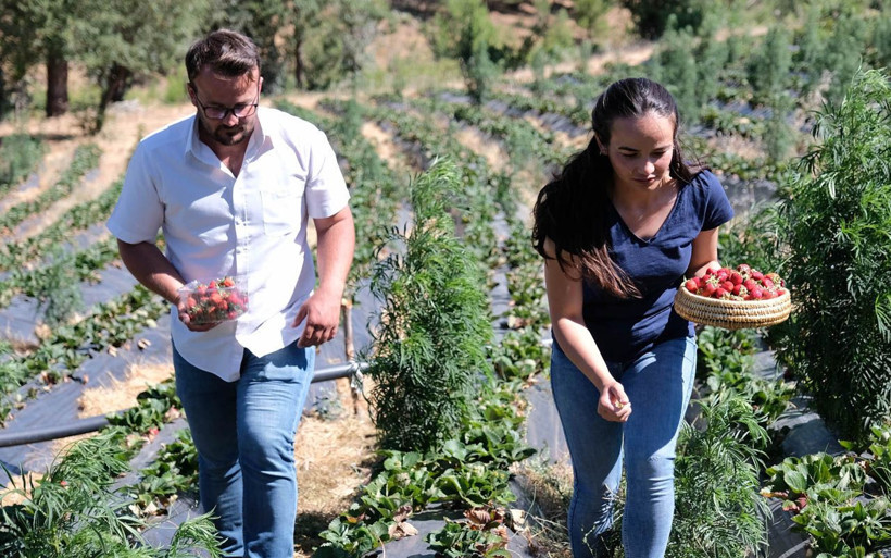 Büşra ve ağabeyi su verilmeyince taşıma yöntemini akıl edip 1.5 ton çilek yetiştirdi - Resim: 4