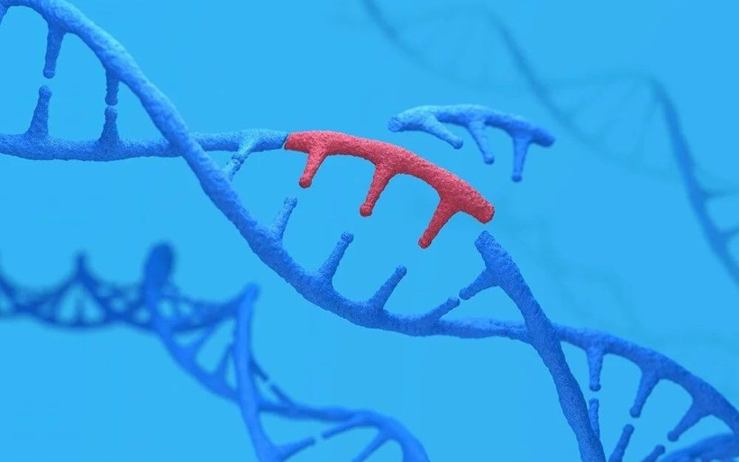 İnsanlar neden ortalama 80 yıl yaşıyor? Gizemi çözülmüş olabilir - Resim: 4