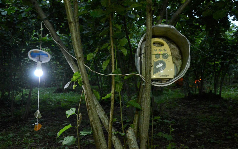 Domuz giremez oldu! Ordulu fındıkçı Karadeniz zekasıyla öyle bir şey yaptı ki... - Resim: 3