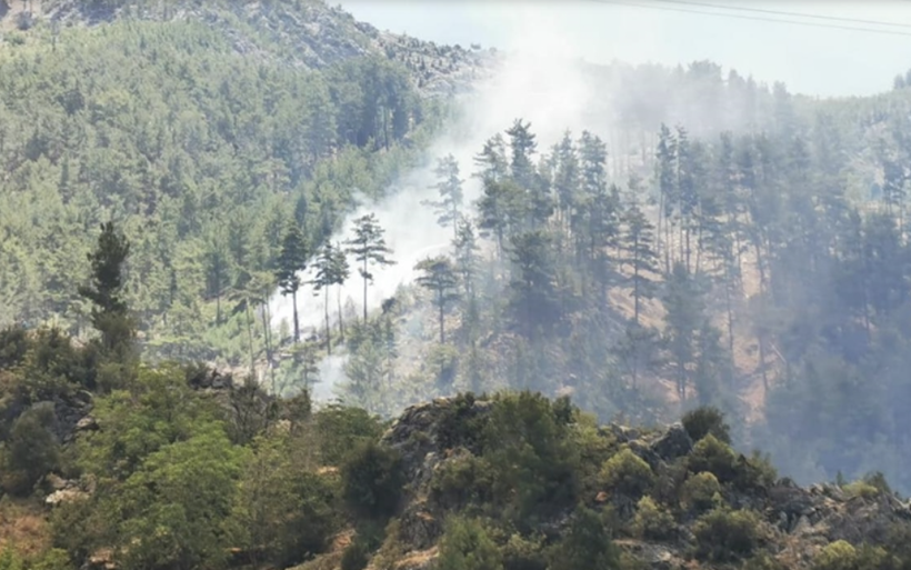 İstanbul'da ormanlık alanlara girişler yasaklandı! Valilikten flaş açıklama - Resim: 1