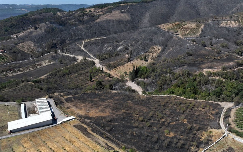 Kocaeli'de ormanlar küle döndü! Ortaya çıkan görüntüler yangının boyutunu ortaya çıkardı - Resim: 1