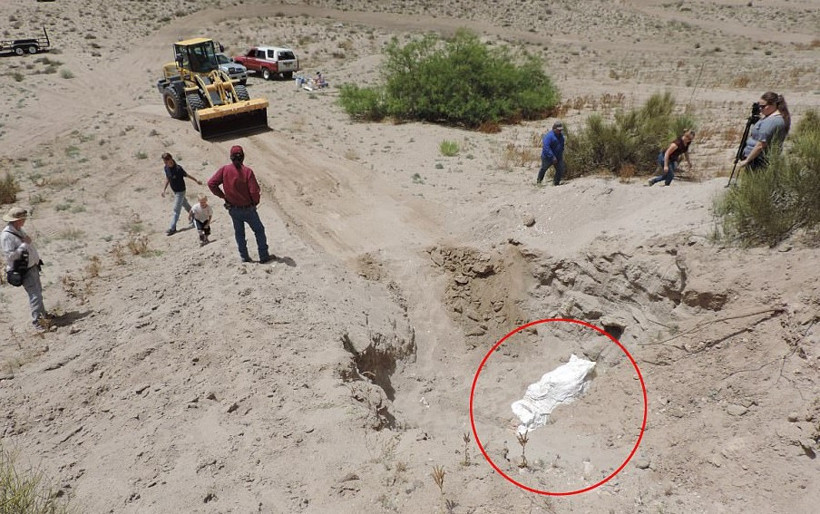 9 yaşındaki çocuk tesadüfen buldu bilim dünyası şokta - Resim: 4