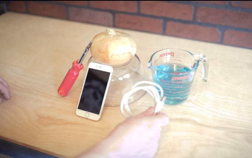 Soğan, telefon, enerji içeceği... Hayrete düşüren deney - Resim: 1