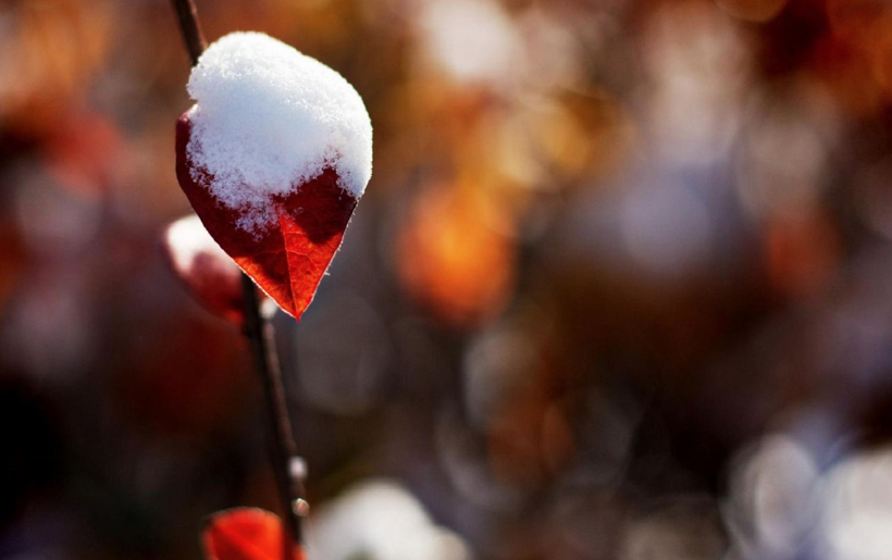 Meteoroloji'den 6 il için kar uyarısı! Sıcak havalara elveda - Resim: 4