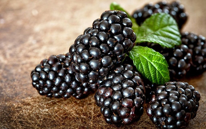 Karadut bu hastalıklara iyi geliyor her fırsatta bol bol tüketin - Resim: 2