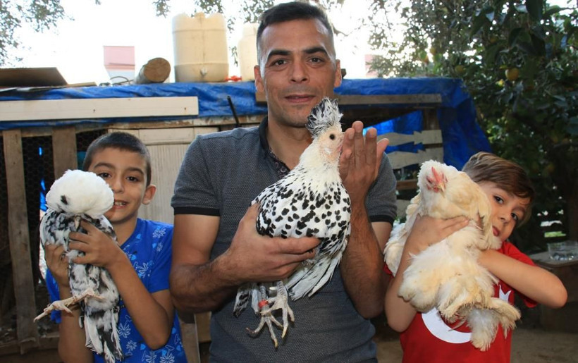 Hobi olarak başladı şimdi paraya para demiyor! Bu tavuklar resmen altın yumurtluyor! - Resim: 2