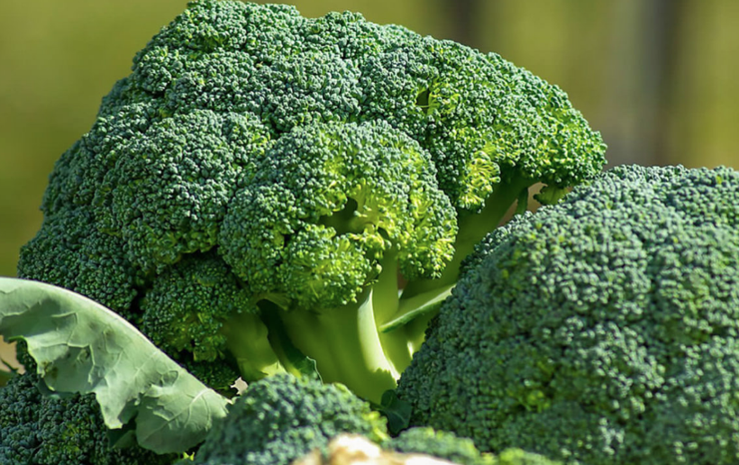 Brokoli hakkında yeni bir keşif! Bakın hangi özelliği ortaya çıktı - Resim: 4
