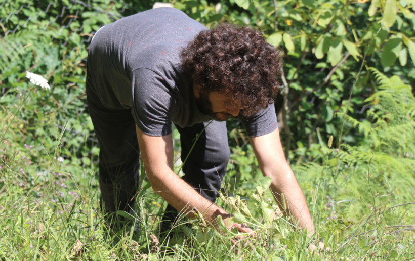 Astsubaylık yapıyordu! İşi bıraktı yerli tohumları topladı bunu yapıyor - Resim: 3