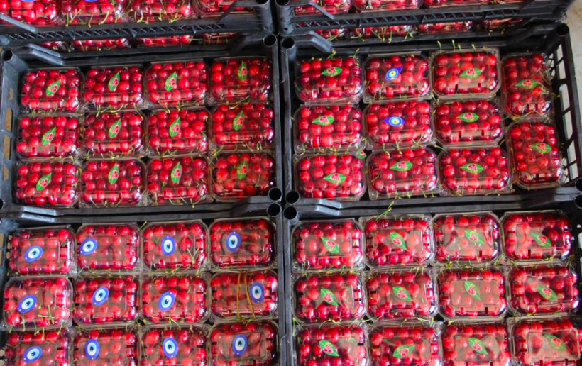 İlk satışı kilosu 700 liradan satılmıştı şimdi 80 liraya düştü - Resim: 1