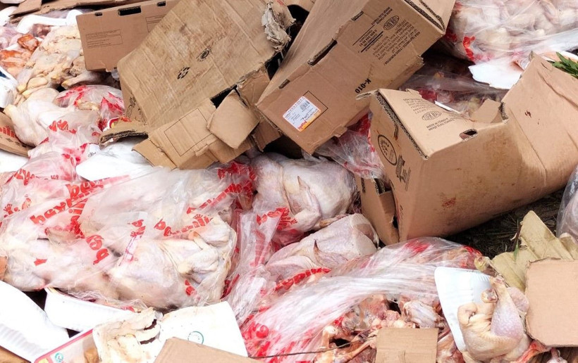 Mola veren vatandaşlar şoke oldu! Ormanlık alana paket paket dökmüşler - Resim: 4