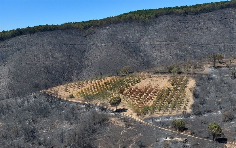 Kocaeli'de ormanlar küle döndü! Ortaya çıkan görüntüler yangının boyutunu ortaya çıkardı - Resim: 4