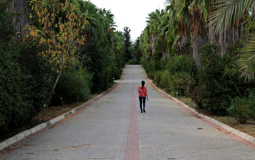 Uzmanı uyarıyor! Türkiye’den çalıp kaçırdıkları şifalı bitkileri ilaç olarak bize geri satıyorlar - Resim: 3