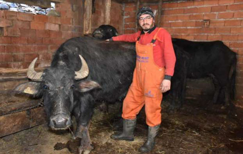 Mandalara yaptığı yöntemle daha kaliteli süt üretiyor - Resim: 4