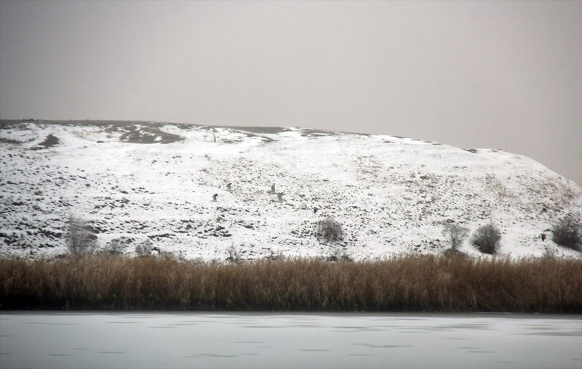 Sivas Hafik Gölü'nün yüzeyi kısmen buz tuttu - Resim: 2