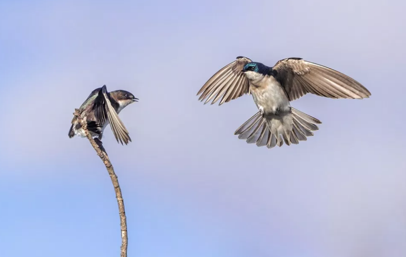 Flickr 2018 yılında çekilmiş en iyi 25 fotoğrafı belirledi - Resim: 4