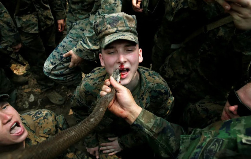 Kobra, kurbağa, akrep! Cobra Gold tatbikatından mide bulandıran görüntüler - Resim: 1