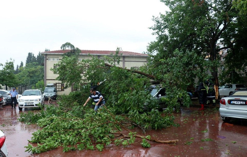 Kocaeli'de sağanak yağmur hayatı felç etti! Araçların üzerine ağaç devrildi - Resim: 2