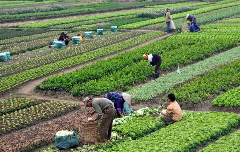 Çiftçilere faizsiz, kefaletsiz, limitsiz destek müjdesi! - Resim: 4