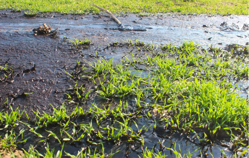 Su ararken bahçede buldu bütün ilçe bayram etti! Aynı yerde ikinci kez oldu - Resim: 4