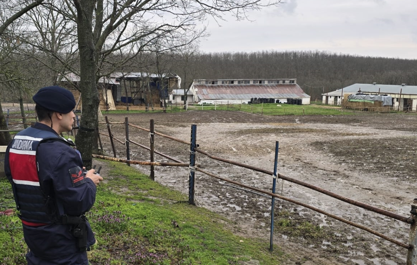 İstanbul'da ele geçirildi! Yakalanmasaydı vatandaşa yedireceklerdi - Resim: 2