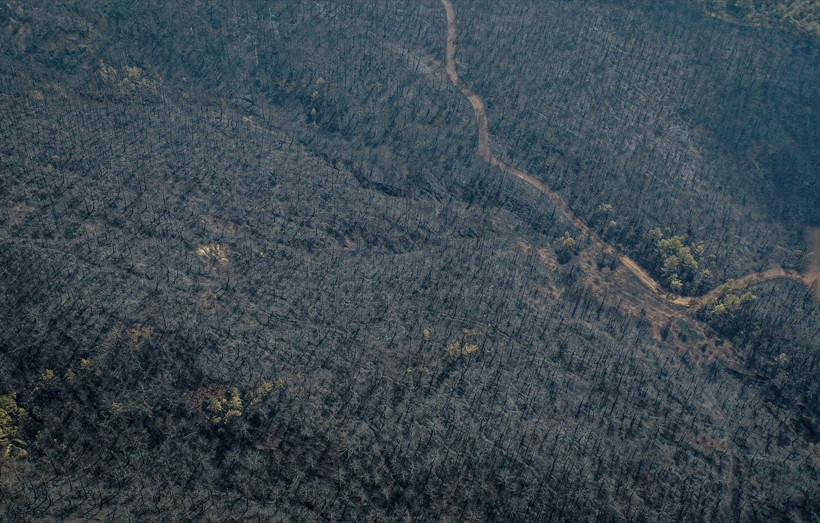 Bilecik'te orman yangınında zarar gören alanlar dronla görüntülendi - Resim: 9