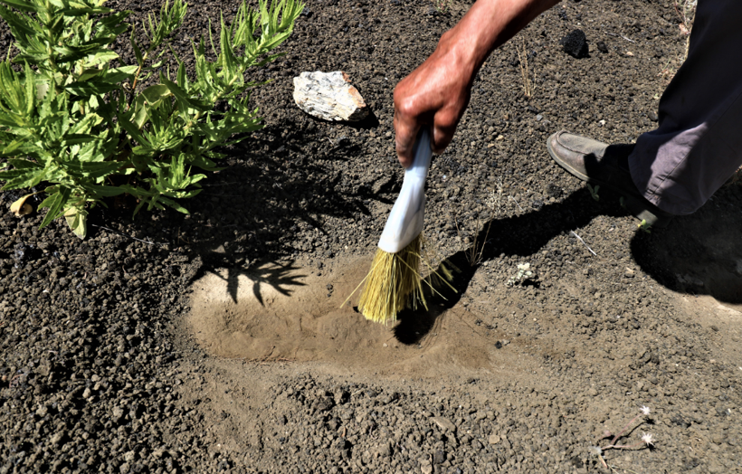 Manisa'da 12 bin yıllık olduğu tespit edilen ayak izlerine köy muhtarı gözü gibi bakıyor - Resim: 3