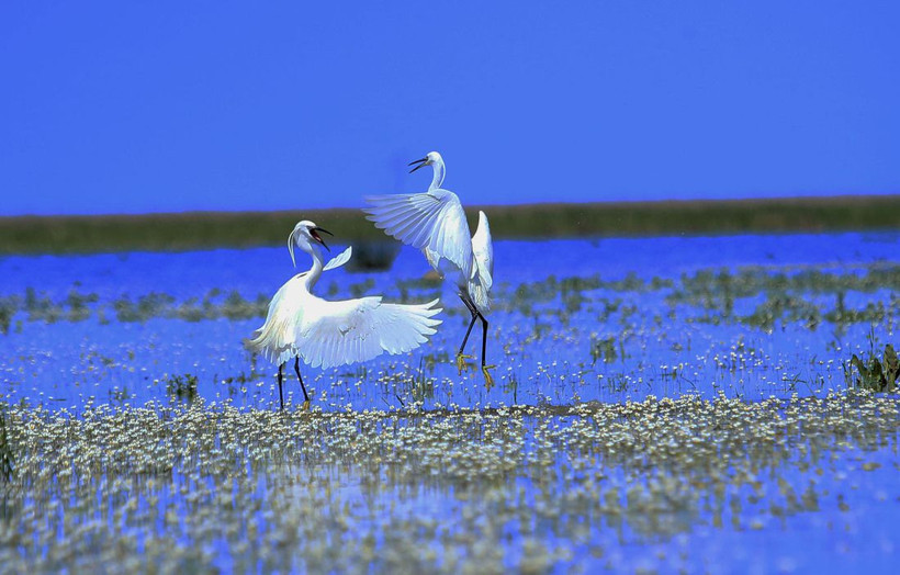 Tüm dünyada oylamaya açtı! İşte Anadolu Ajansı yılın fotoğrafları... - Resim: 3