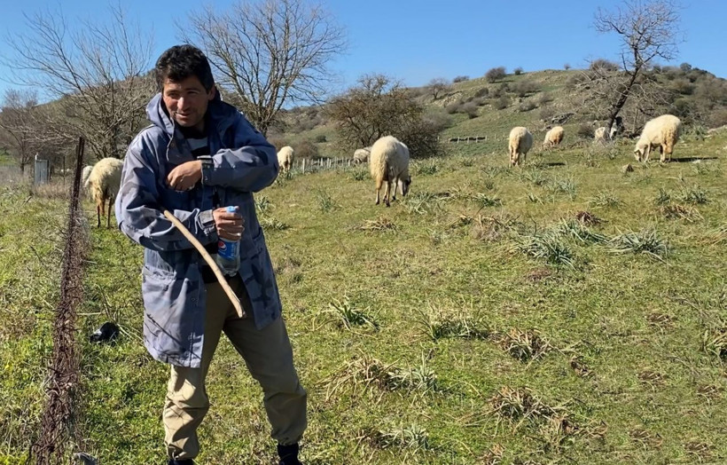 Çobanlık deyip geçmeyin! Koyun güderek 1000 dönüm arazi satın aldı - Resim: 2