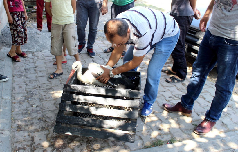 Mahalleli ayağı kopan leyleğin yardımına koştu - Resim: 3