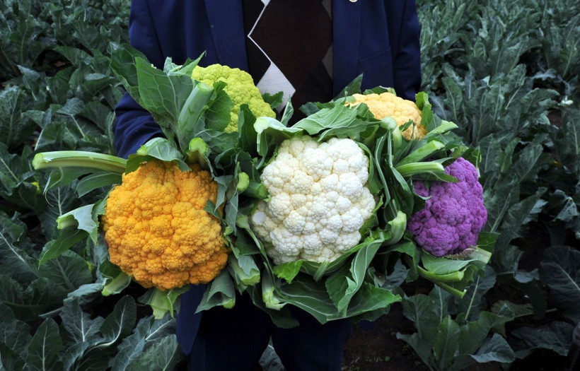 Renklendirici yok çocuklar bayılıyor! Samsun'da üretici talebe yetişemiyor - Resim: 1