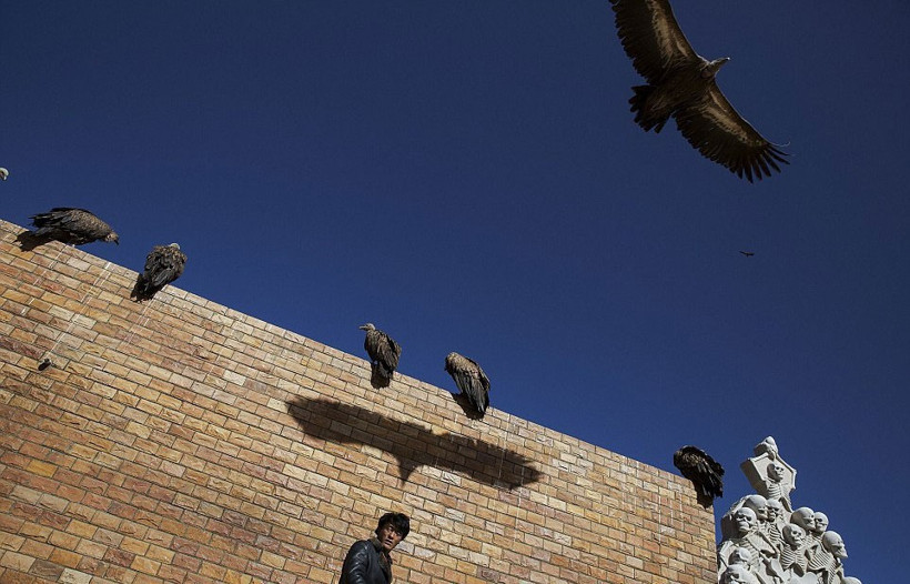 Ölüleri yedirmek için akbabaları bekliyorlar! - Resim: 2