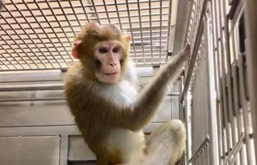 Kritik koronavirüs açıklaması: Aşı kısmi koruma sağlıyor - Resim: 2