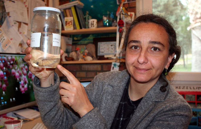 Mersin'de yakalandı uzmanlardan kritik uyarı geldi! Hemen hastaneye başvurun - Resim: 3