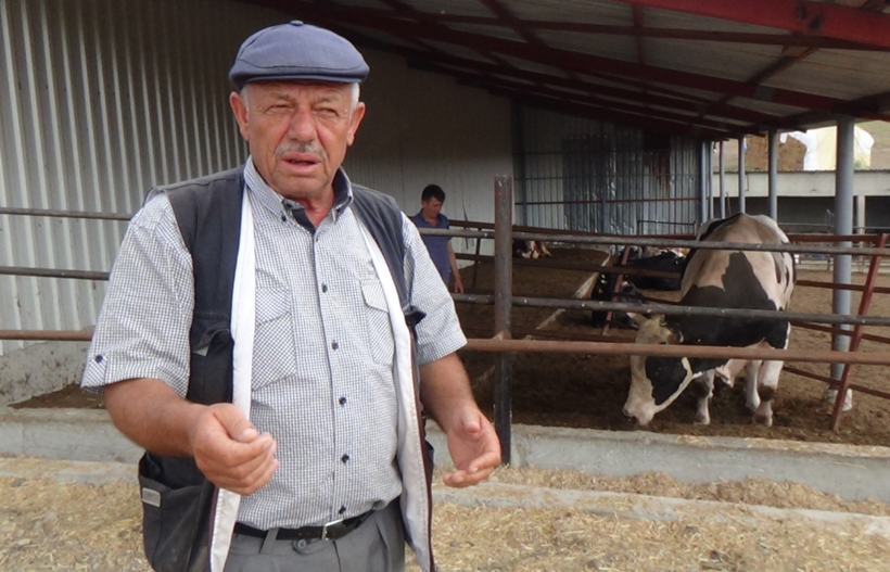 Günde 200 liralık yem yiyor bir buçuk tonluk danayı Cumhurbaşkanı'na satacak - Resim: 2