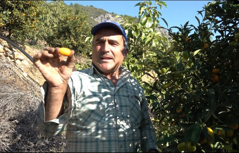 Antalya'da salgınla birlikte talep patladı bağışıklığı güçlendiriyor! Fiyatı duyanları şaşırttı - Resim: 3