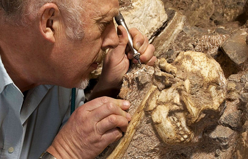 İnsanlık tarihini aydınlatacak 'küçük ayak'ta flaş gelişme! Yürüyebiliyor ama... - Resim: 2