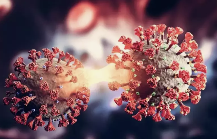 Avrupa'dan sonra Türkiye'de tehdit altında! Ölümlere neden oluyor... - Resim: 4