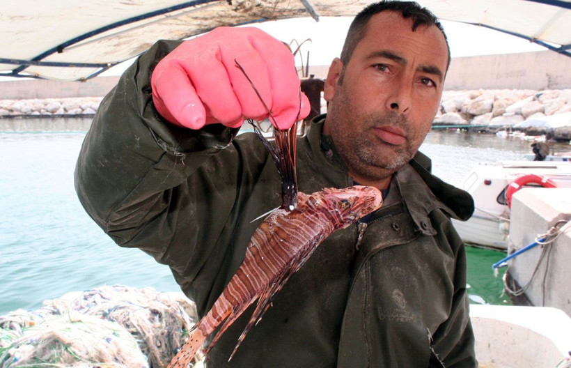 Mersin'de yakalandı uzmanlardan kritik uyarı geldi! Hemen hastaneye başvurun - Resim: 2