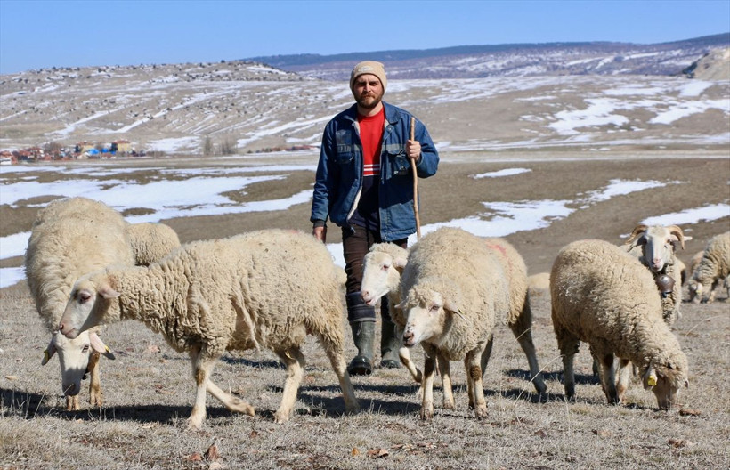 Eskişehir'de avukat oldu ama mutlu olamadı! Çobanlığı seçti huzuru buldu - Resim: 2
