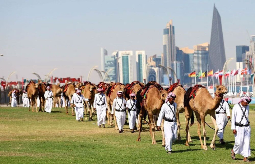 Dünya Kupası'nda Covid-19'dan çok daha ölümcül virüs paniği! DSÖ'den panik yaratan açıklama - Resim: 3
