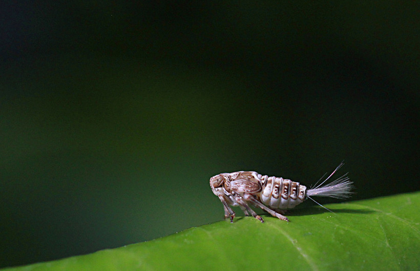 Ne olduğunu tahmin bile edemezsiniz! - Resim: 1