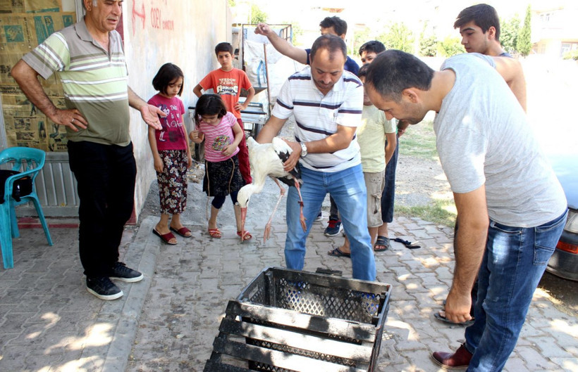 Mahalleli ayağı kopan leyleğin yardımına koştu - Resim: 2
